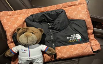 The North Face x Gucci Vest Brown