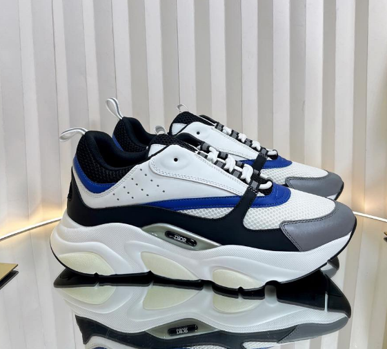 Dior B22 White Blue Black