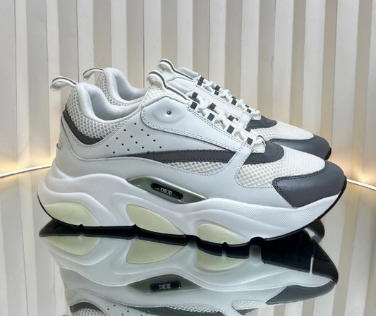 Dior B22 White