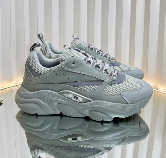 Dior B22 Grey