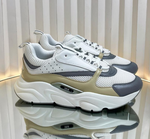 Dior B22 Brown White Grey